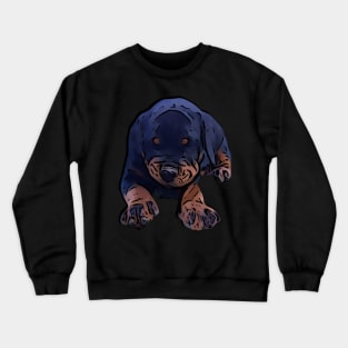 Rottweiler pup Crewneck Sweatshirt